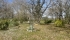 IMG_4337 (FILEminimizer).jpeg